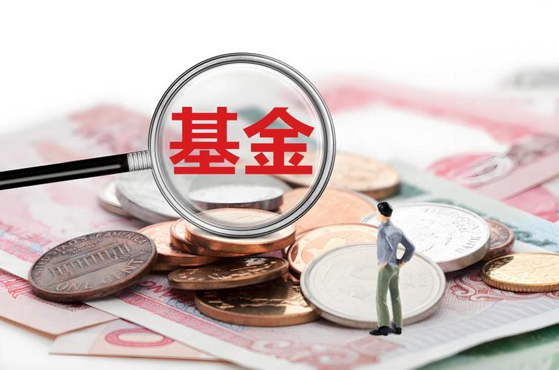 行业动态洞察：大泰金石投资管理前瞻